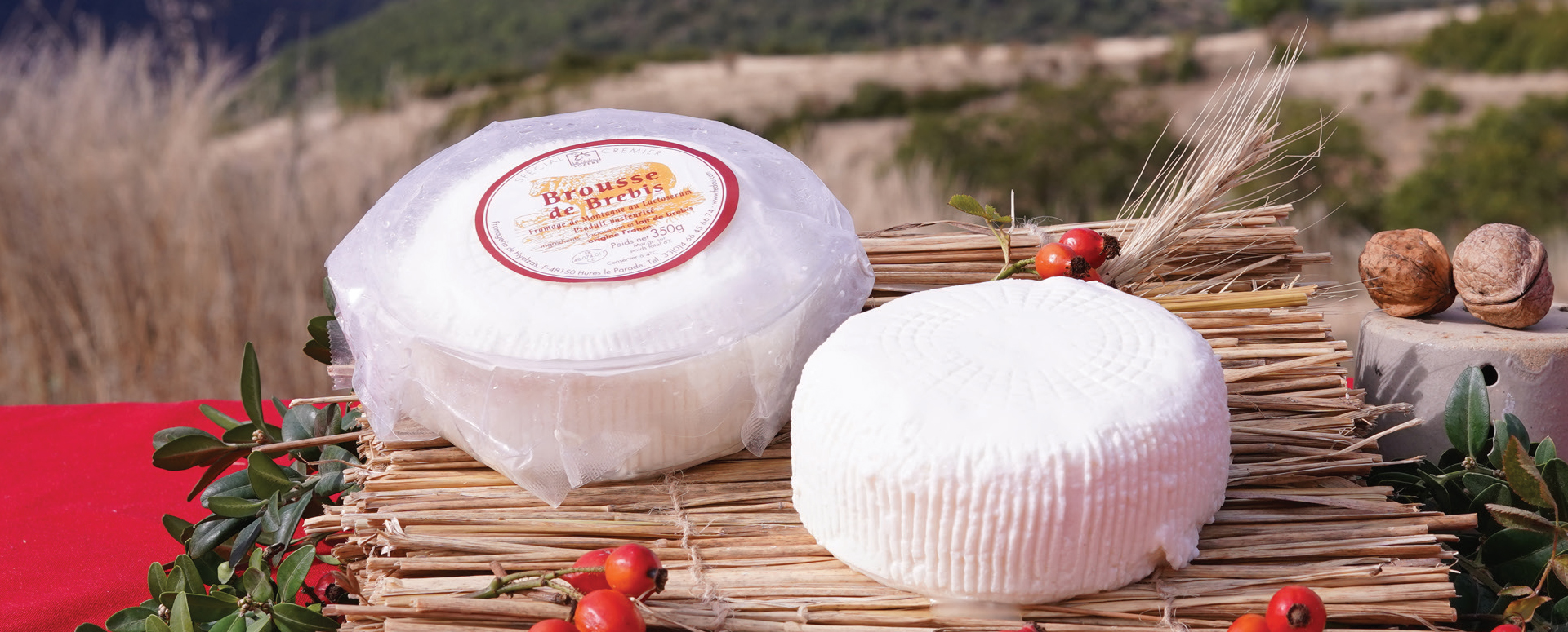 Fromage frais Brousse au lactosérum de brebis de Lozère.