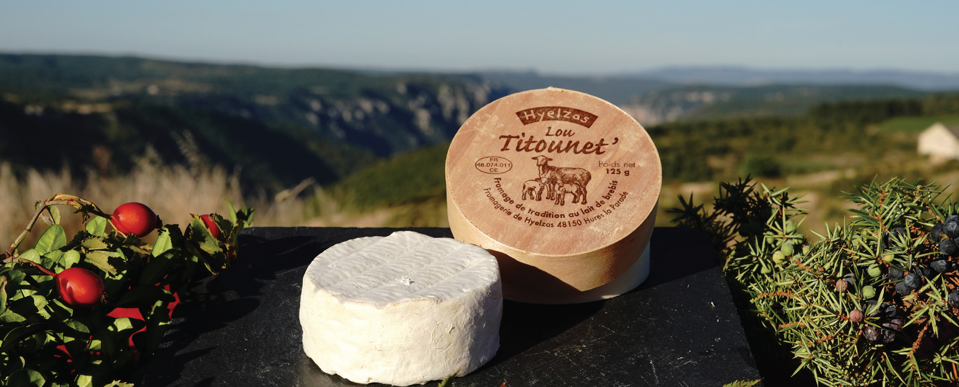 Petit fromage Titounet au lait de brebis du Causse Méjean.