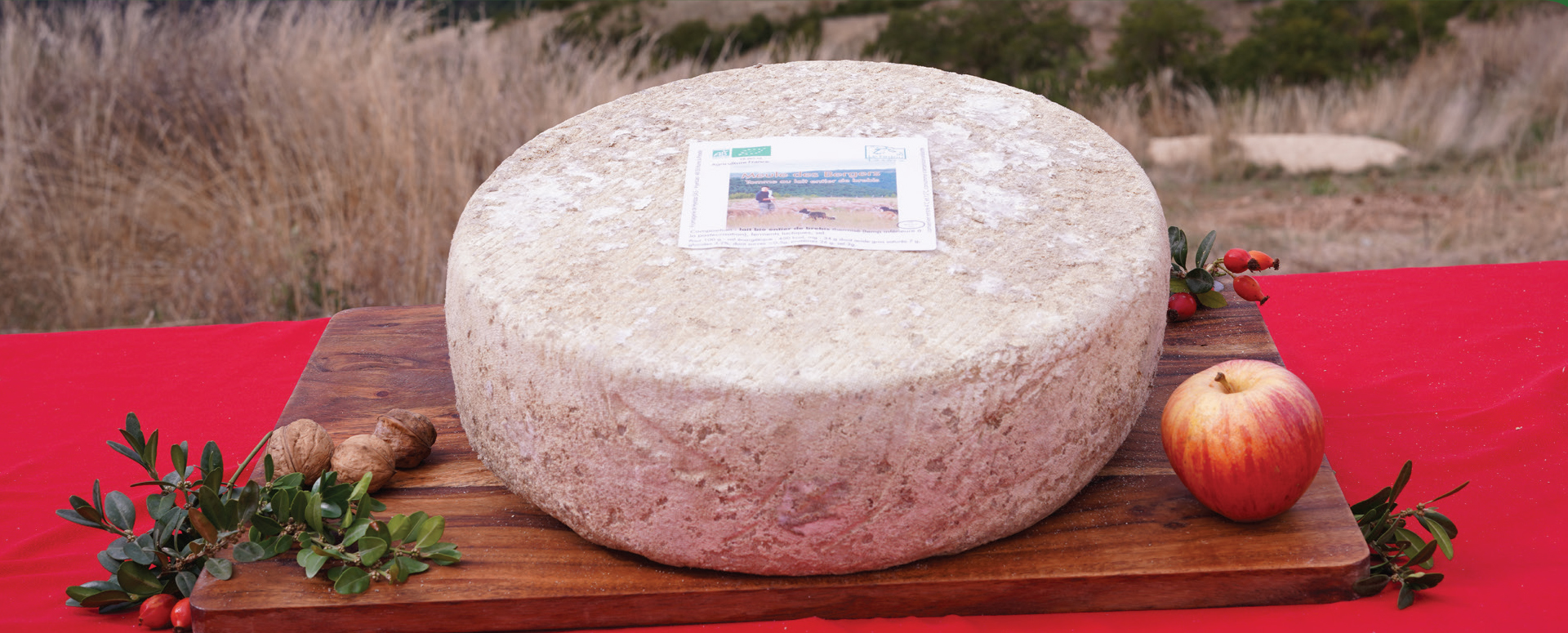 La Meule des bergers fromage bio au lait de brebis des landes caussenardes.