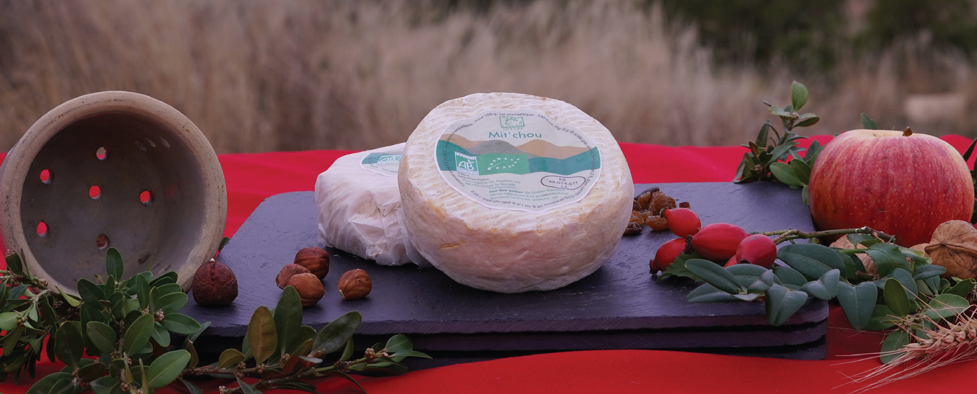 Le Mit'chou petit fromage bio à pâte molle au lait de brebis du Causse Méjean.