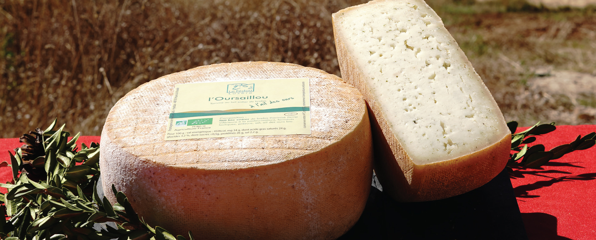 Tomme L'Oursaillou bio au lait de brebis et à l'ail des ours du Causse Méjean.