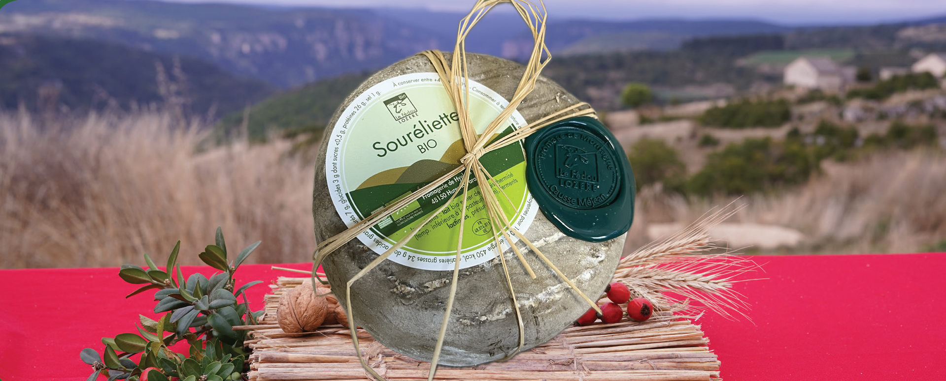 Tomme soureliette bio au lait bio de brebis du causse Méjean.
